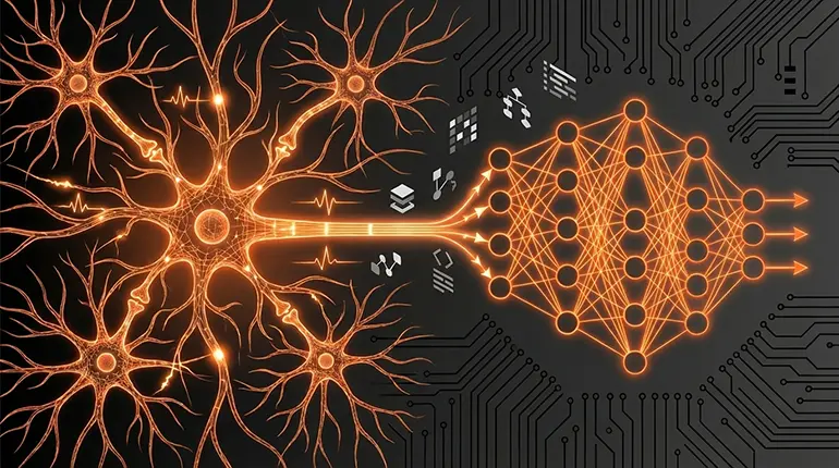 Biological vs artificial neurons - how the brain inspired deep learning